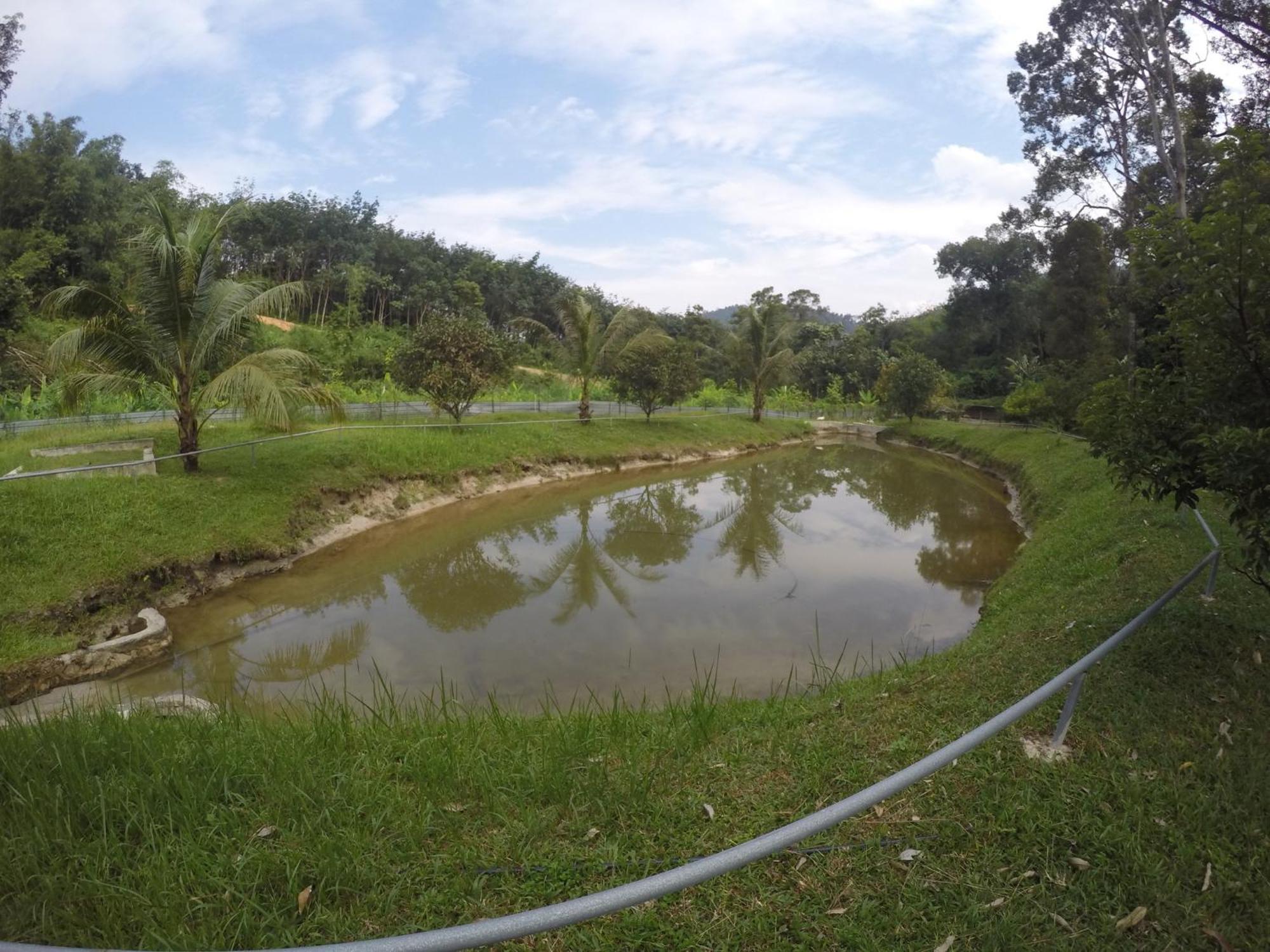 Santai De Lui Resorts Kampong Masjid  Екстериор снимка